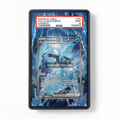 Kyurem ex 165-086 SIR SAR Black Bolt Extended Art Display Cases