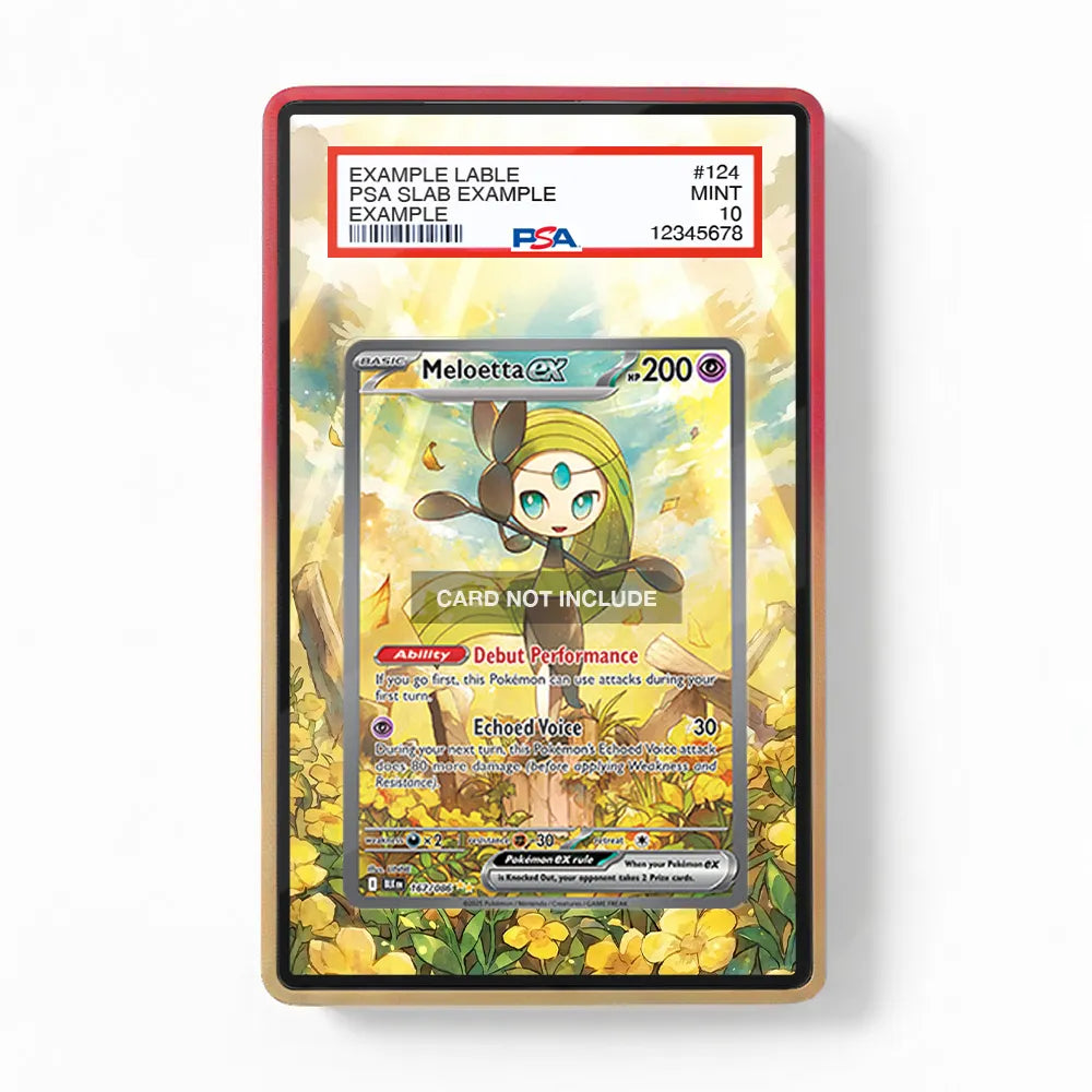 Meloetta ex 167-086 SIR SAR Black Bolt Extended Art Display Cases